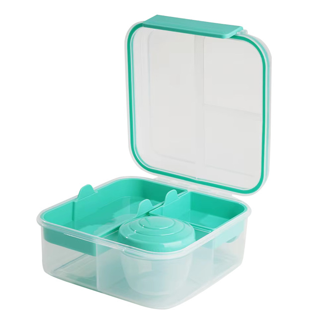 Fresh Mint Lunchbox