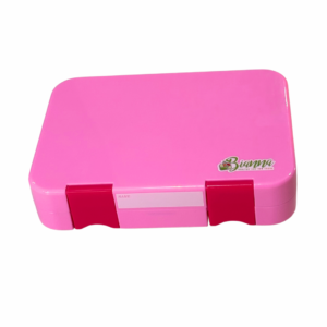 LunchBox Pink Presumida